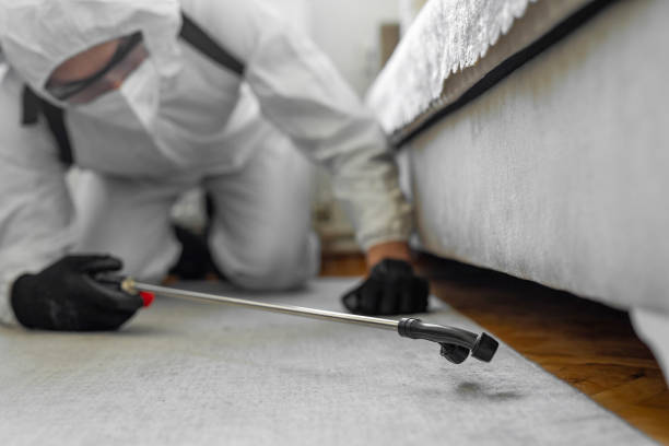 Professional Bed Bug Control technician working in Earlysville, VA