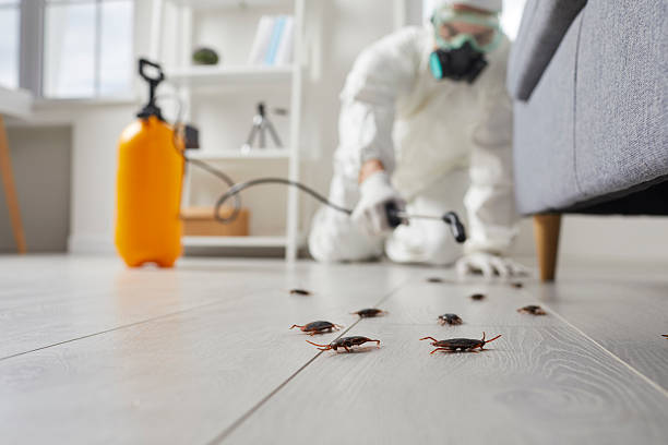 Trusted Termite Control service in Earlysville, VA - Nex Pest Control