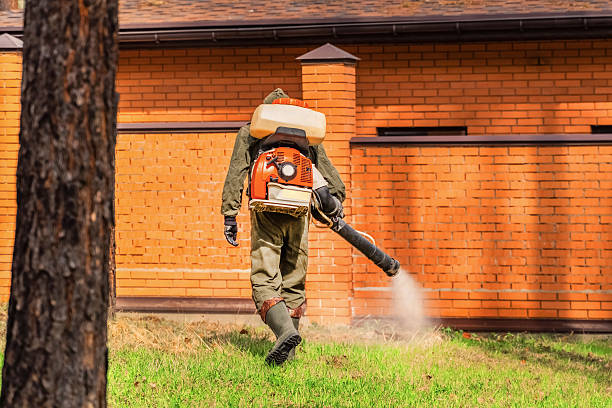 Trusted Cockroach Control service in Earlysville, VA - Nex Pest Control